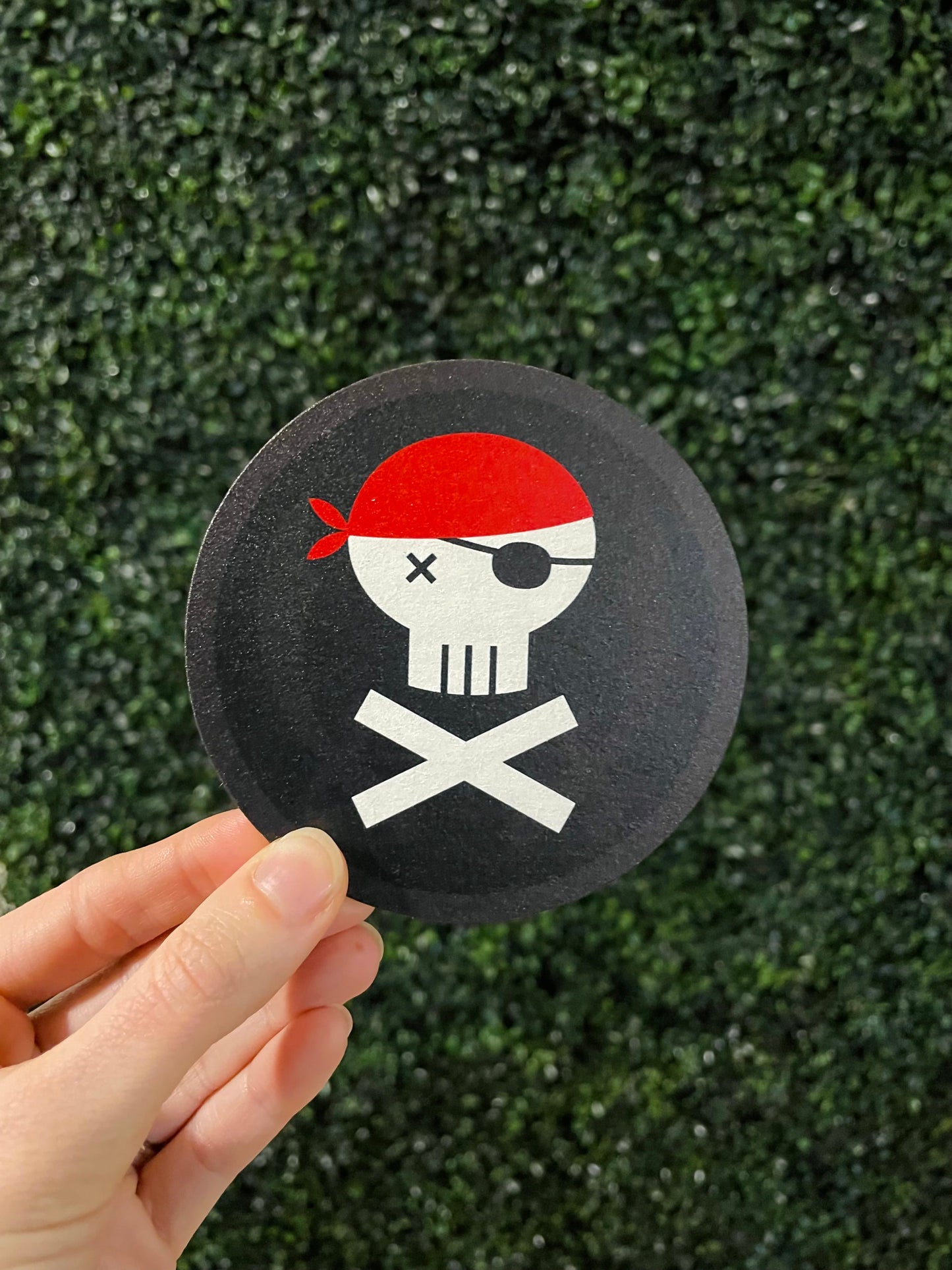 Gasparilla Coaster Set